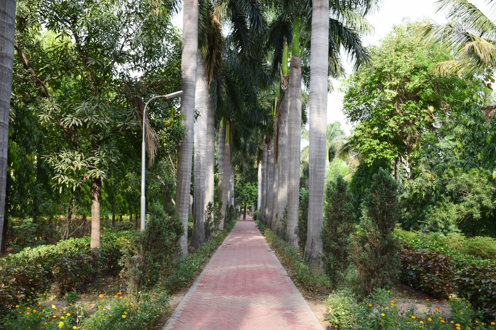 Vivekananda Vidyapeeth, Raipur